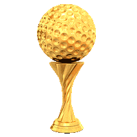 Golfer Golfista Sticker by The Back 9 Golf