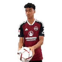 Ball Nurnberg Sticker by 1. FC Nürnberg