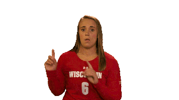 College Sports Sport Sticker by Wisconsin Badgers