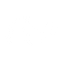 fffunctionstudio arrow swipe swipeup link Sticker