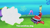 season 9 GIF by SpongeBob SquarePants
