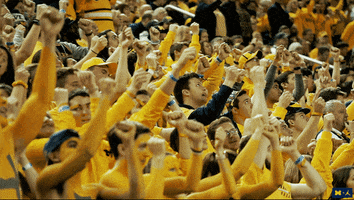 Go Blue Michigan Basketball GIF by Michigan Athletics