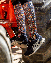 GIF by Dreamers & Schemers