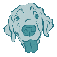 Dog Puppy Sticker