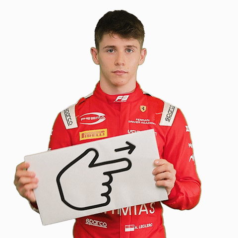 Formula 3 Arthur GIF by Prema Team