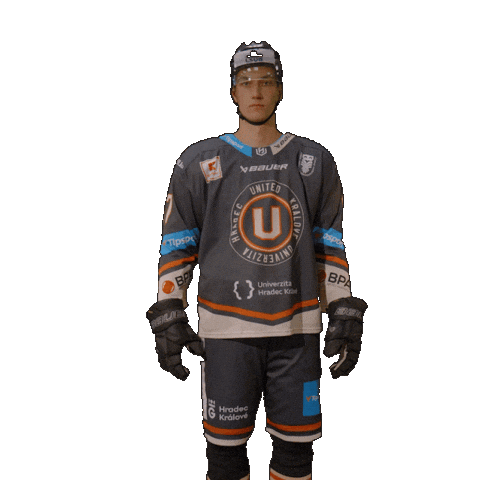 Uhk Sticker by UNIted HK