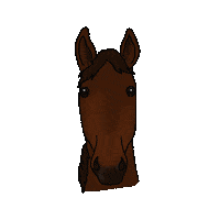 Horse Breathe Sticker by bitopEQUI