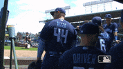 Regular Season Sport GIF by MLB