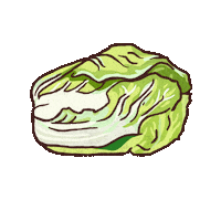 Cabbage Napa Sticker
