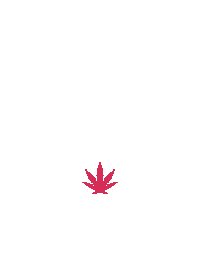 wegohighnc weed plant 420 marijuana Sticker