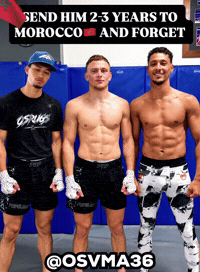Fight Mma GIF