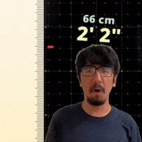 2' 2"