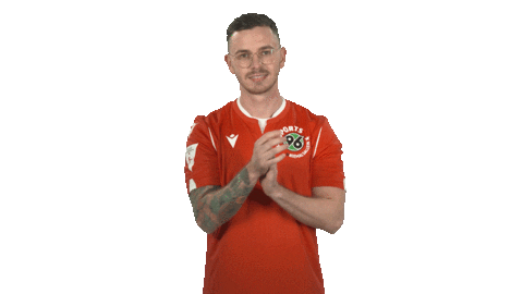 Hannover 96 Fifa Sticker by Bundesliga