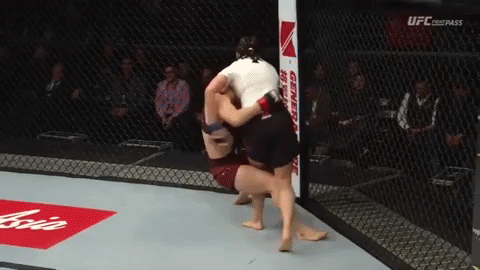 bjj armbar GIF