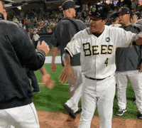 Ray Olmedo Win GIF by Salt Lake Bees