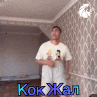 Kyrgyz GIF by Customize iT