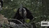 The Walking Dead Zombie GIF by AMC Latinoamérica