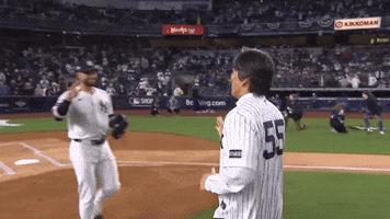 New York Yankees Hug GIF by MLB