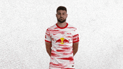 Stressed Out Eye Roll GIF by RB Leipzig