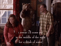 season 3 netflix GIF by Gilmore Girls 