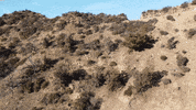 Los Angeles California GIF by Yevbel