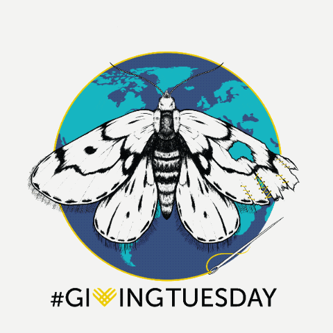 jordology101 giphyupload GIF