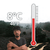 8 C GIF