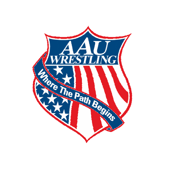 Wrestling Wrestle Sticker by aausports