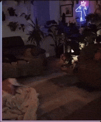 Youtube Rage GIF