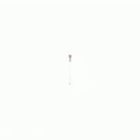 Axon GIF
