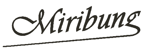 Miribung giphyupload miribung miribung socks miribungsocks Sticker