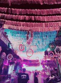 GIF by ellaknor