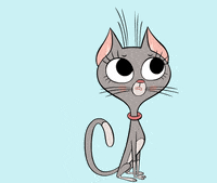 Cat What GIF by ZIP ZIP