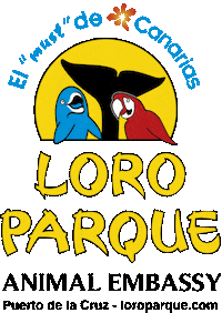 Puertodelacruz Sticker by Loro Parque