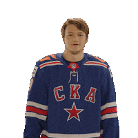 Happy Ice Hockey Sticker by SKA Ice Hockey Club