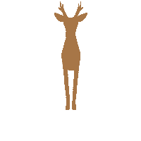 Jump Gold Sticker by bockfieber