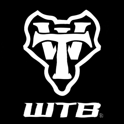 WildernessTrailBikes wtb wildernesstrailbikes wtb logo GIF