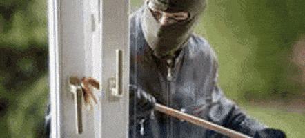 pyzerlawyers giphyupload GIF