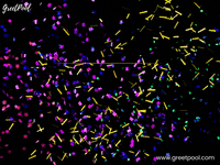 Party Congrats GIF by www.greetpool.com