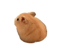 Mouse Hamster Sticker