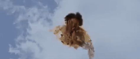 kung fu GIF