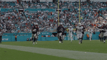 Nfl Football GIF by New England Patriots