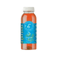 Saúde Sticker by Strappa Live Kombucha