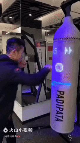 gif-vif giphyupload gifvif digital punching bag GIF