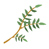 Spring Hojas Sticker