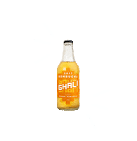 ghalikombucha healthy chile kombucha saludable Sticker