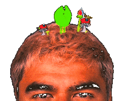 Calum Hood Wildflower Sticker by 5 Seconds of Summer