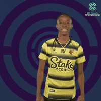 Golden Girls Hornets GIF by FA Women's Championship