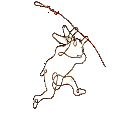Rabbit Jumping Sticker