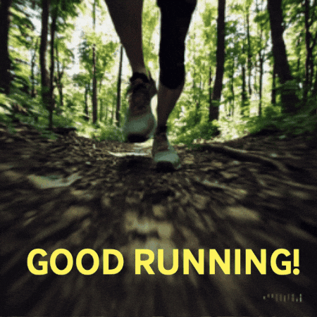 trchandler giphygifmaker running good luck trail running GIF